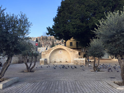 An Original Painting Nazareth, Mary's Well circa 1900